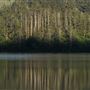 Humboldt Lagoons State Park (SP) / Big Lagoon, Stone Lagoon, Dry Lagoon & Freshwater Lagoon