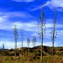 Hungry Valley State Vehicle Recreation Area - SVRA