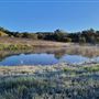 Santa Cruz Mountains/Santa Clara Valley Vineyard/Victorian Location - Gilroy, CA