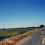 Various Rural Farms And Ranches