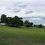 Various Rural Farms And Ranches
