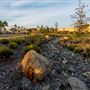 Los Angeles State Historic Park (SHP)