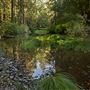 Navarro River Redwoods State Park (SP)