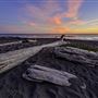 Pelican State Beach (SB)