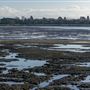 Robert W. Crown Memorial State Beach (SB) - East Bay Regional Park District