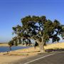 Turlock Lake State Recreation Area (SRA)