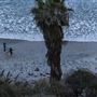 South Carlsbad State Beach (SB)