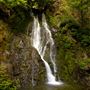 Smithe Redwoods State Natural Reserve (SNR)