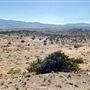 Carr Canyon Ranch