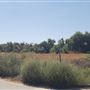 60 acres of vacant raw land - Perris CA