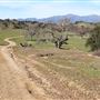 Rancho San Fernando Rey
