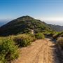 Aliso and Wood Canyons Wilderness Park