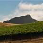 California Polytechnic State University, San Luis Obispo