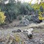 Canyon Ranch