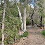 Canyon Ranch