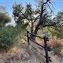 Canyon Ranch