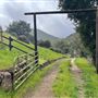 Canyon Ranch