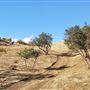 Canyon Ranch