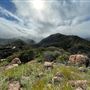 Canyon Ranch