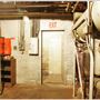 Willow Studios