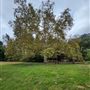 Franklin Canyon Park - Santa Monica Mountains Conservancy - SMMC