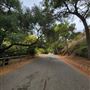 Franklin Canyon Park - Santa Monica Mountains Conservancy - SMMC