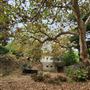 Franklin Canyon Park - Santa Monica Mountains Conservancy - SMMC