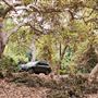 Franklin Canyon Park - Santa Monica Mountains Conservancy - SMMC