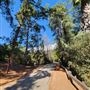 Franklin Canyon Park - Santa Monica Mountains Conservancy - SMMC