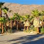 Palm Springs - City