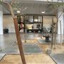 Life Is Studios