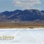 California Supreme Salt aka Dale Dry Lake