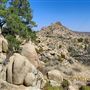 160 Acres