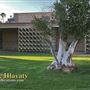 Palm Springs City Hall