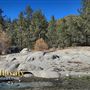 Lake Hemet - Forest Service Picnic Area