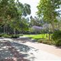 University of California, Los Angeles - UCLA