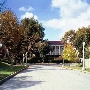 Hancock Park Neighborhood