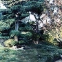 Hakone Japanese Estate and Gardens