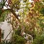 Sunset Marquis Hotel and Villas