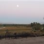 Kemper Campbell Ranch