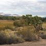 Kemper Campbell Ranch