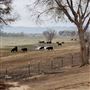 Kemper Campbell Ranch