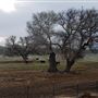 Kemper Campbell Ranch