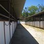 Peck Farm