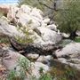Stone Meadows Ranch