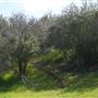 Stone Meadows Ranch