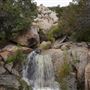 Stone Meadows Ranch