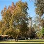 University of California, Riverside - UC Riverside