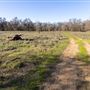DLX Ranch