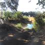 DLX Ranch